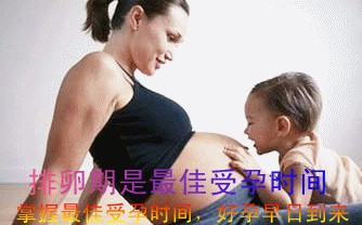 排卵期计算